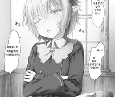 개병대 엘프manga