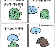 "나는 아무 보살핌 없는데 적응했어"