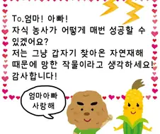 부모님께 진심을 담아서 감사 편지를 쓴 자식