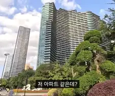 중국식 주거난 해결법