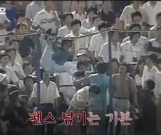 야구장에서 욕하고 소리지르는게 예의있고 신사적인 이유