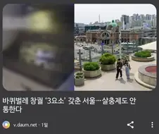 살충제도 안통한다는 서울역 바퀴벌레 사태.JPG