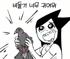 비둘기가 너무 귀여운 만화.jpg