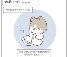 약먹기 싫은 고양이.manhwa