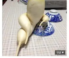 죄..죄송합니다!! 환복을 마치신 줄로만..