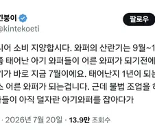 와퍼주니어 먹지 말아야하는 이유
