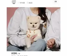 강아지데리고 스냅사진찍었는데