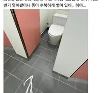굳이 확인하는 타입