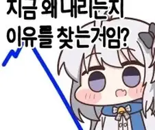 지금 주붕이들 상황
