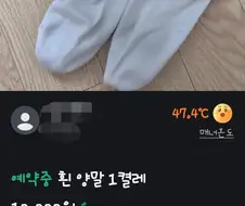 신기한 당근의 세계....