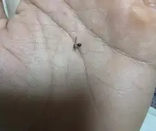 제 아내임
