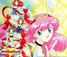 웨딩피치) 애니판과 원작 만화의 차이점