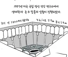 1957년에 실제로 실험했던 인구실험 만화