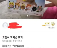 당근마켓 고양이 모자 판매 이유