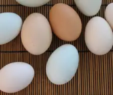 의외로 실온 유통이 되는 식품.jpg