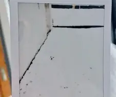 이상하다. 분명히 마당에 있는 댕댕이의 사진을 찍었는데...