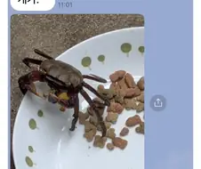 겟맘.JPG