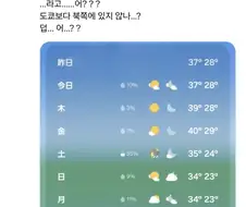 한국 날씨에 놀란 일본 성우