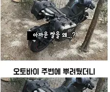 아파트 화단에 주차하는 딸배 빌런 응징 하는 방법
