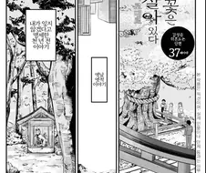 그 벚꽃은 천 년 동안 살아있다.manhwa