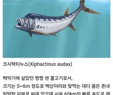 백악기 바다 비운의 생선