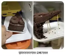 오빠가 먼저 먹은 케이크