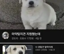 쉬었음 멍년.jpg