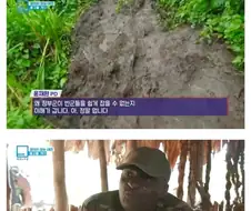 여행유튜버했으면 1황했을사람