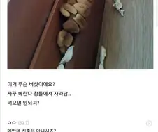 친환경 아파트