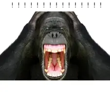 또 터졌다 니미!! 이거 유저들이 새로 만든건줄 알았는데 가테 만화 2편이...