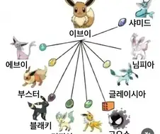 복잡한 이브이 진화형