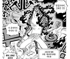 원피스)근데 동물계 각성 관련해서 내적갈등이
