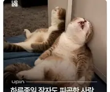 하루종일 잠자도 피곤한 사람의 전생?