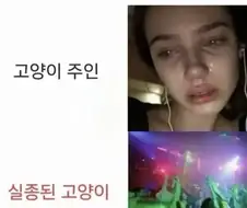 고양이 잃어버렸을 때