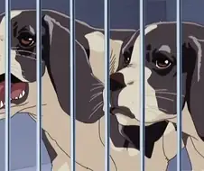 이누야샤) 중간중간 짧게 나옴에도 재미를 보장하던 것 중 하나