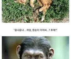 "꺄아악!! 뭐죠, 이 풀은?!!"