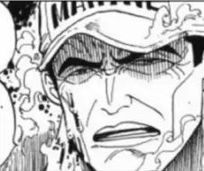 [원피스]인성이 올바른 아카이누와 에이스