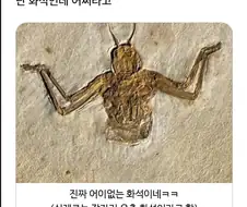 어쩌라고? 화석