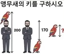앵무새의 키를 구하시오.jpg