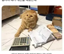 집사야 거기 앉아봐라