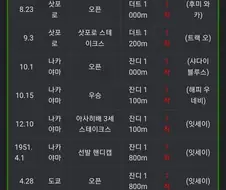 [말딸] 10전 전승으로 은퇴한 전설의 말딸