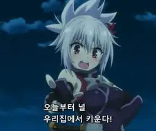 [아야카시트라이앵글]뚱보 고양이를 키우다