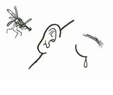 슬슬 여기도 벌레 소굴이 되어가네