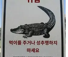 : 먹이를 주거나 성추행하지마세요...