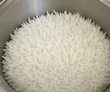 곳곳하게 서 있는 밥알