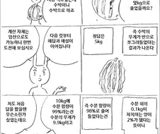 수박의 수분 함량 퀴즈.jpg