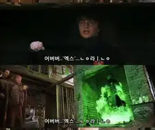 옥저의 해리포터