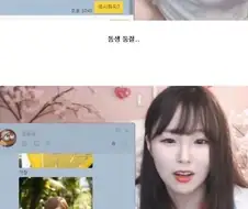 친누나의 남동생 실험