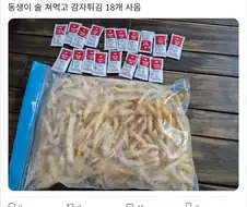 동생이 술 쳐먹고 감자튀김 18개 사옴