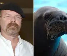 같은 듯 닮은 꼴